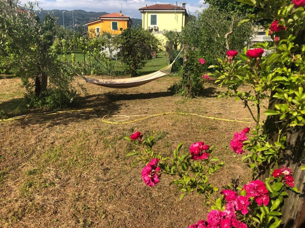 La Casa Di Ulivi Villa Piano di Follo Exterior foto